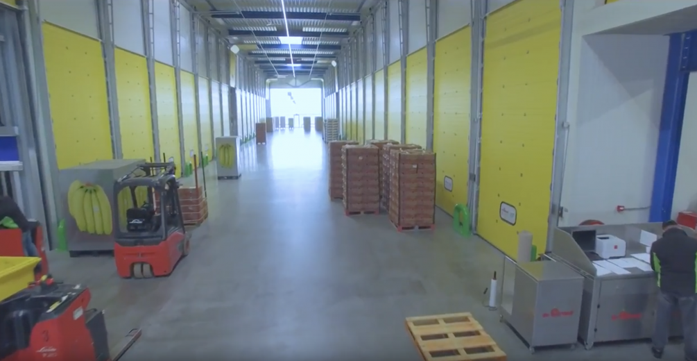 Bouw van Bananenrijpcellen - Renton BV